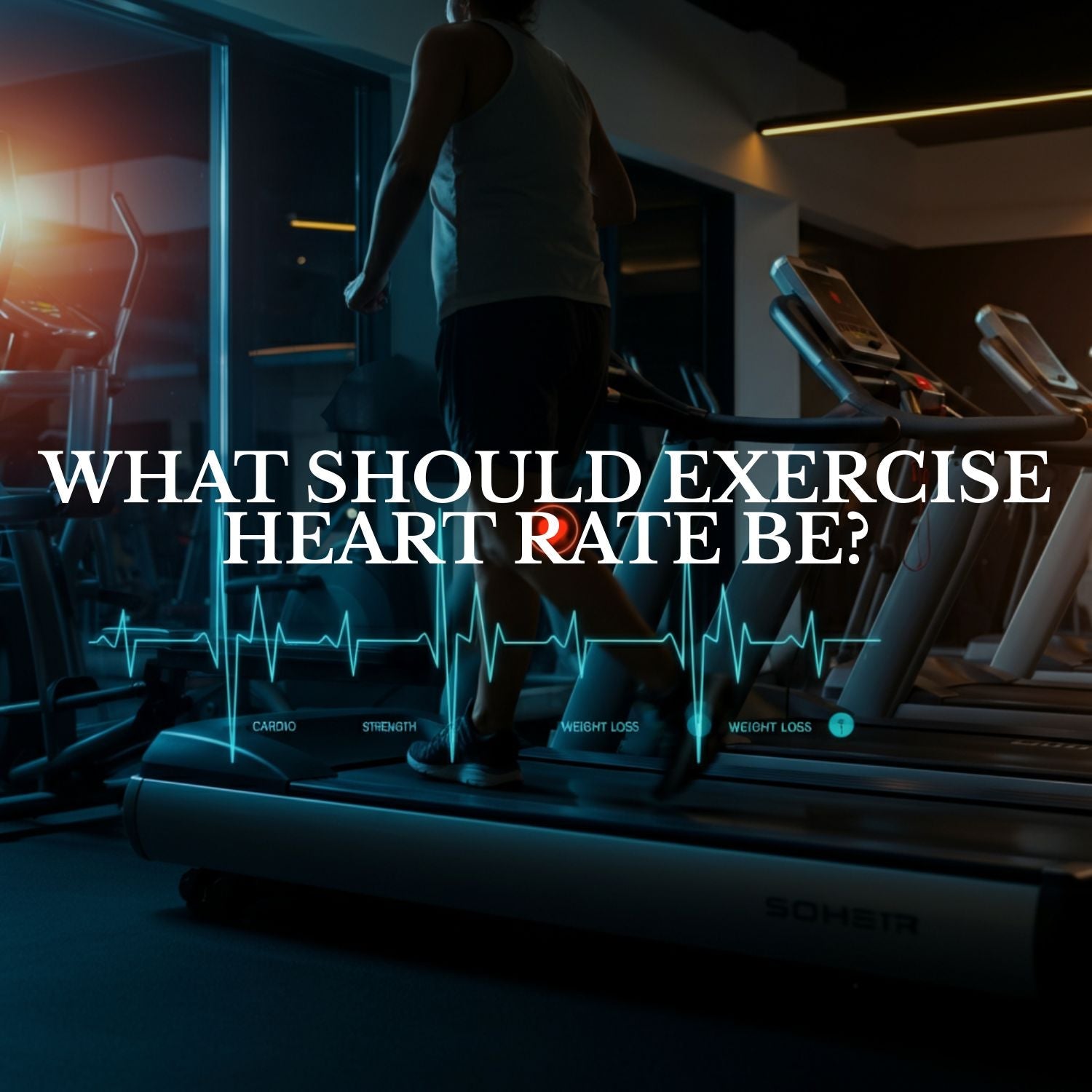 Tips for Weight Loss, Cardio, and Strength Training - Healari