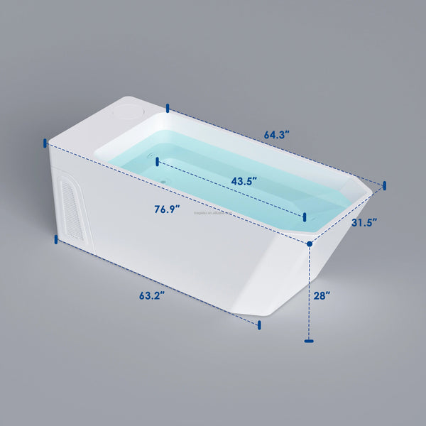 PolarEdge Apex XL Cold Plunge - Healari
